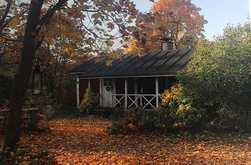 Syksy postikortti postikortti Kaurilan Sauna 